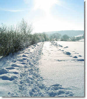 Bild KK-2005 Dezember