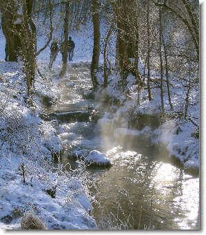 Bild KK-2005 Februar