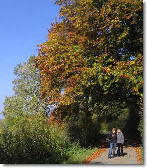 Bild KK-2007 Oktober