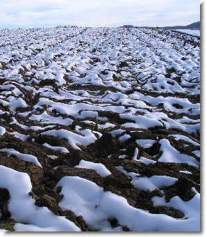 Bild KK-2008 November