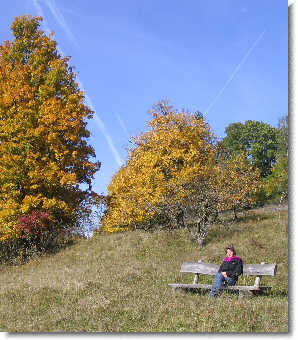 Bild KK-2008 Oktober