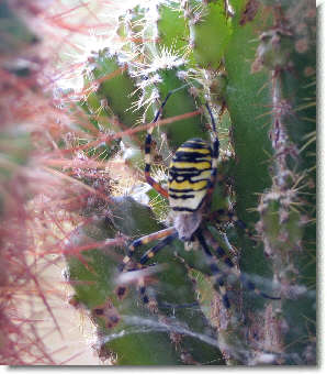 Bild KK-2008 September