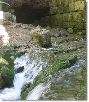 Bild KK-2010 August