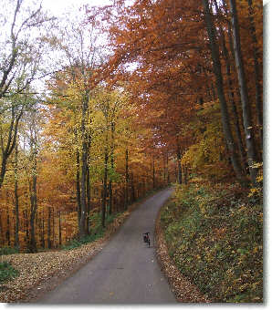 Bild KK-2011 November