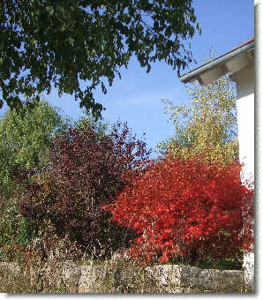 Bild KK-2011 Oktober