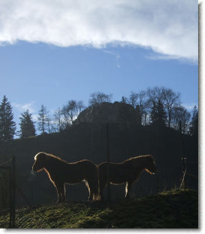 Bild KK-2014 Dezember