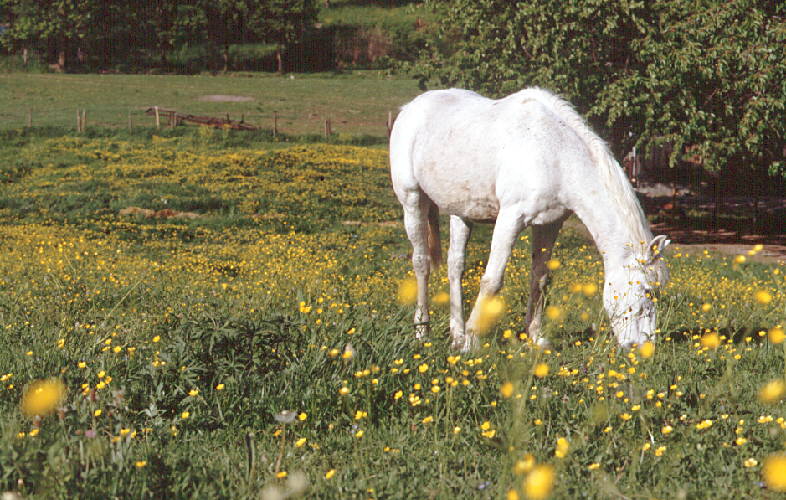 Bild4