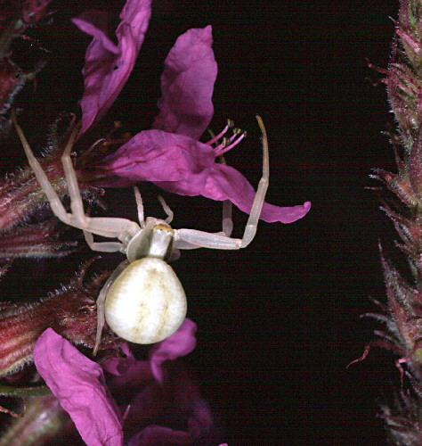 Bild7