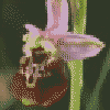 Bild12
