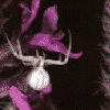 Bild7